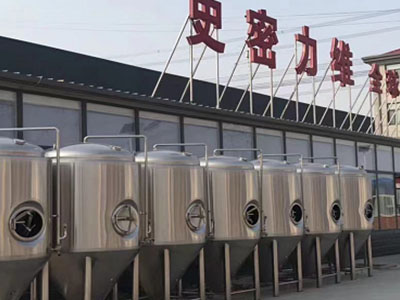 爱辉精酿啤酒设备厂—如何判断精酿啤酒设备的密封件需要更换？